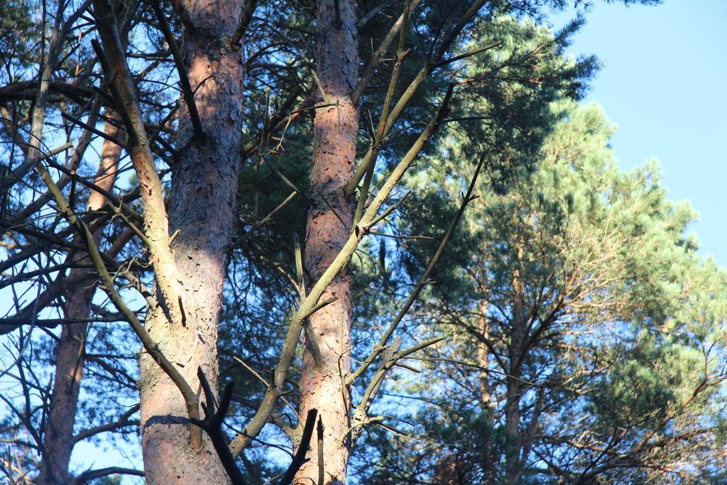 Tehumardi Camping Salme エクステリア 写真